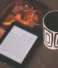 10 Most Profitable KDP Niches 2026: The Ultimate Guide to Scaling Your Royalties